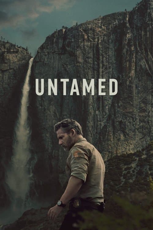 Limited Series