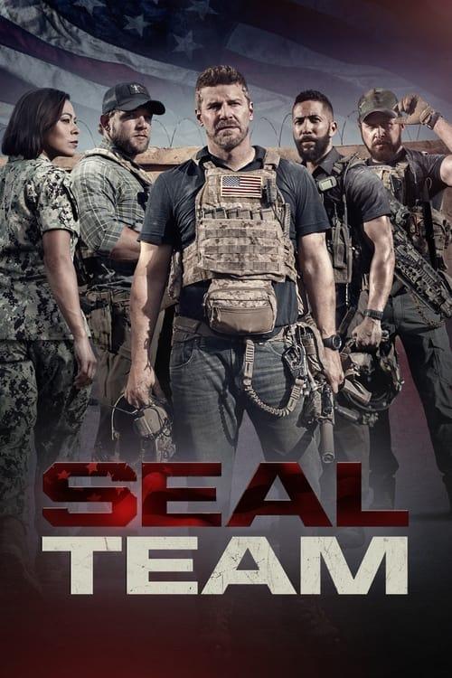 Poster SEAL Team