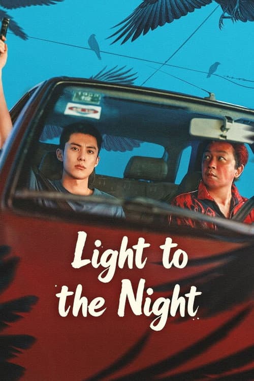 Poster Light to the Night