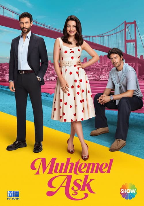 Poster Possible Love