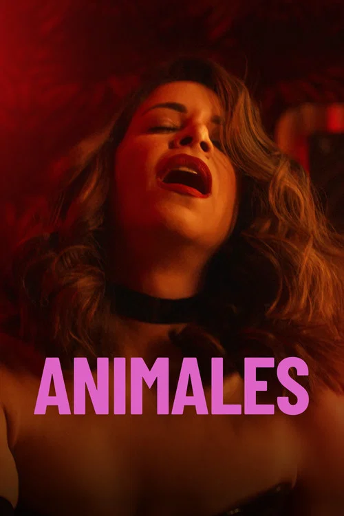 Poster Animals