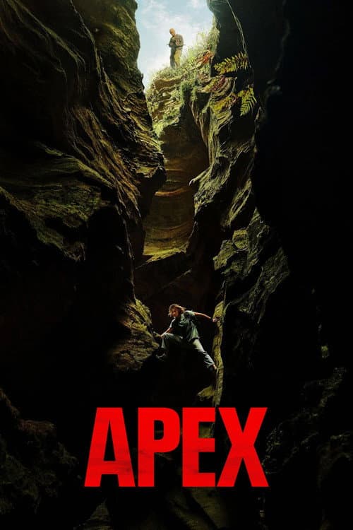 Poster Apex