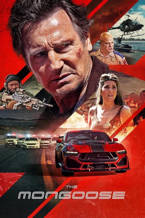 Poster The Mongoose