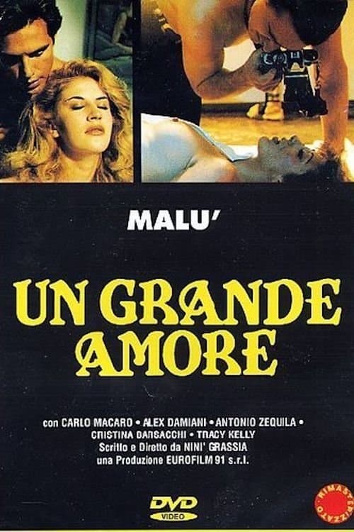 Poster A Great Love