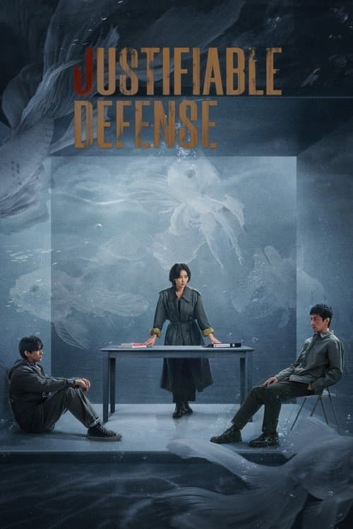 Poster Justifiable Defense