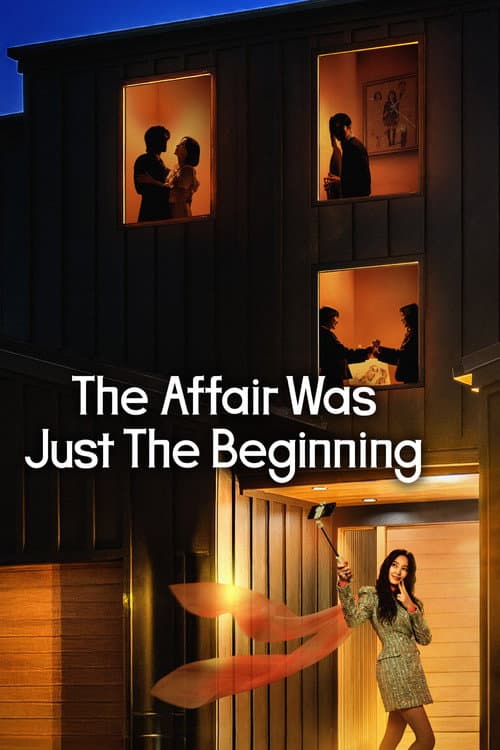 Poster The Affair Was Just The Beginning