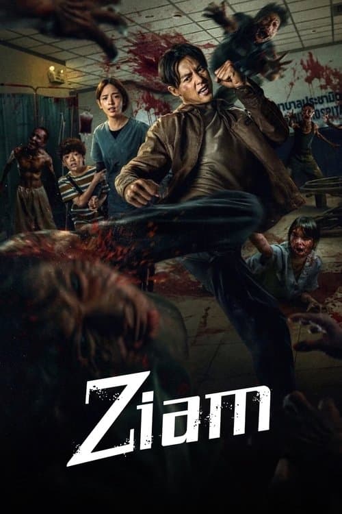 Poster Ziam
